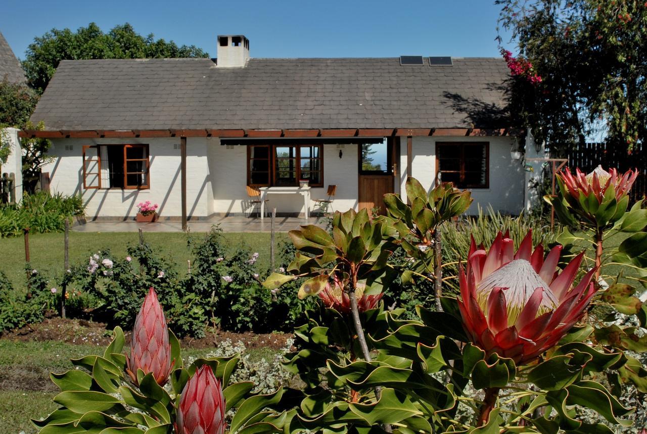 Heatherhill Farmhouse - Sea & Mountain Views Plettenberg Bay Dış mekan fotoğraf